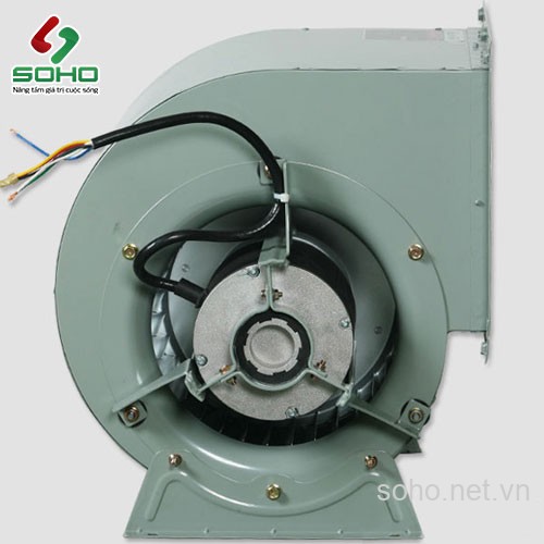 Quạt Thông Gió Công Nghiệp Fanzic TFB-GD23DF 4 Quạt Thông Gió Công Nghiệp Fanzic TFB-GD23DF - Ảnh 4