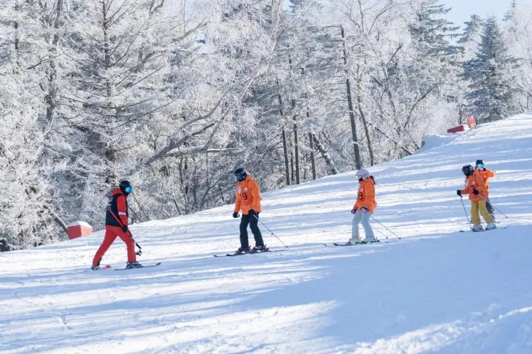 一次性盘点全球、国内滑雪营，冬天最值得去哪儿？