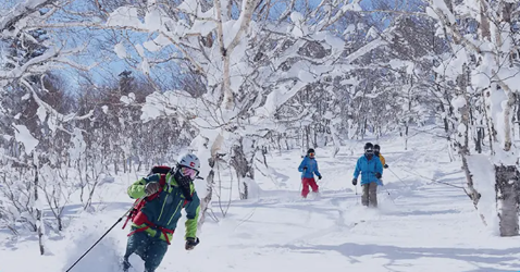 一次性盘点全球、国内滑雪营，冬天最值得去哪儿？