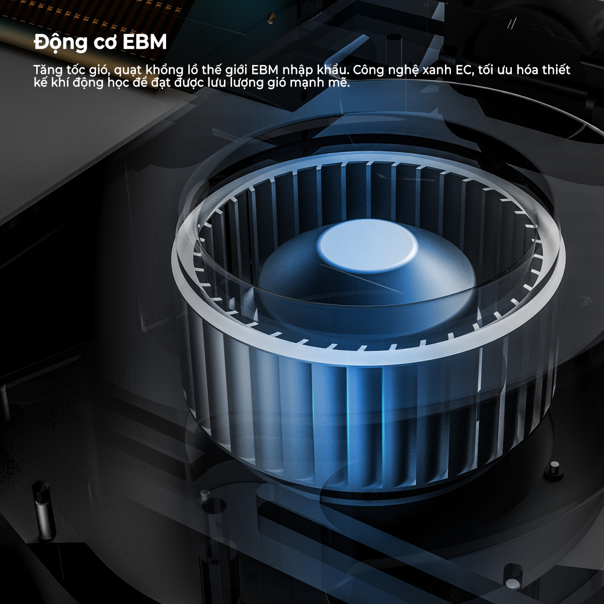 Máy Cấp Khí Tươi Vỏ Xốp Đúc Cửa Dưới NEFA 11 Anh 4