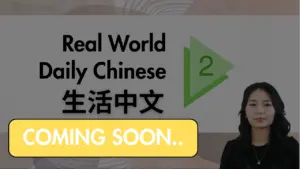 ShuoHao Real World Daily Chinese Book 2 video course