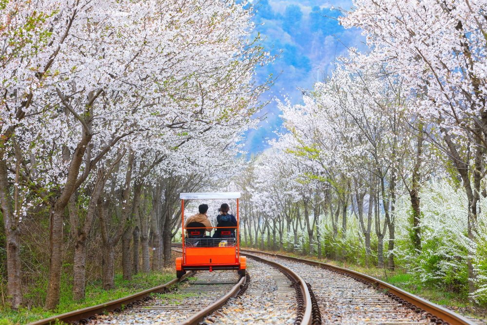 우리고향 캠핑장