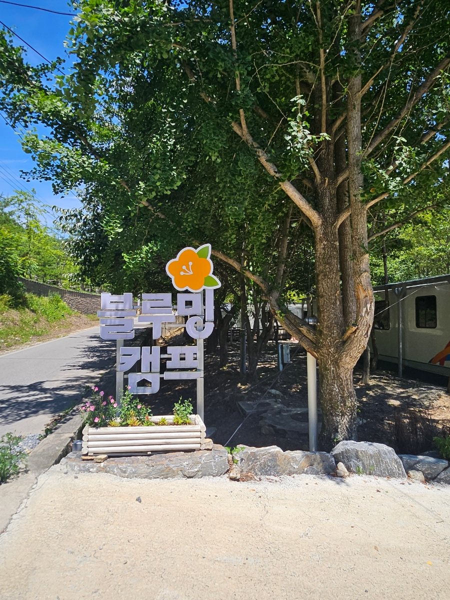 블루밍 캠프 사진