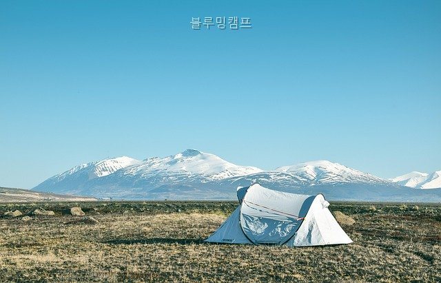 블루밍 캠프 사진