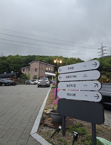 오매기744