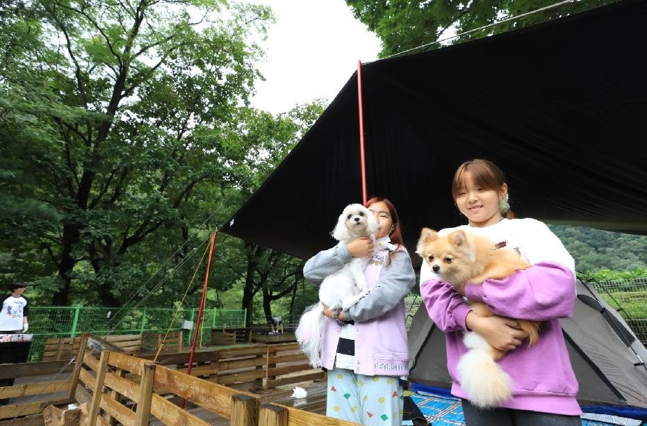 독차지 캠핑 사진