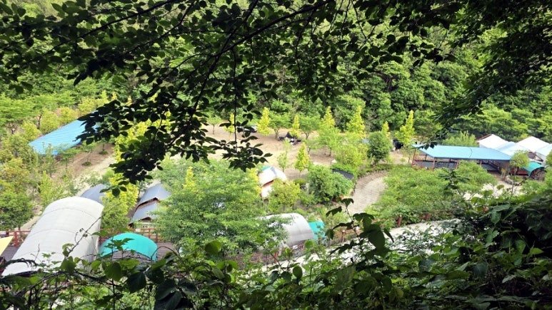 바보온달 리조트 사진