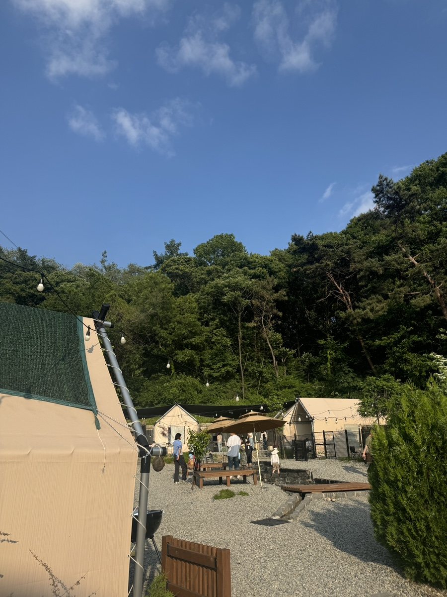 올라봄 캠크닉