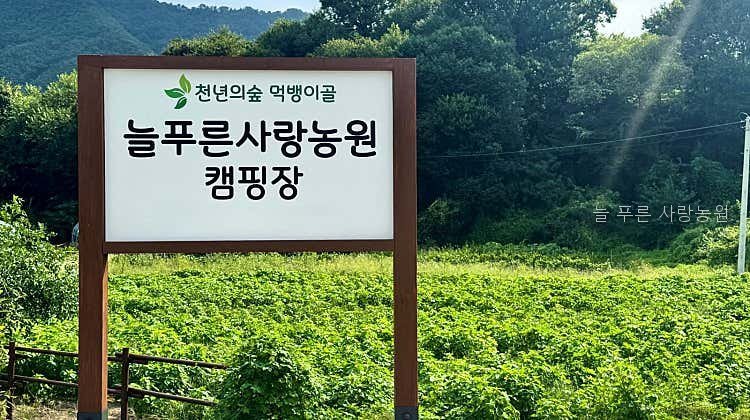 늘 푸른 사랑농원