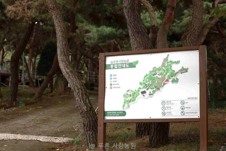 늘 푸른 사랑농원 사진
