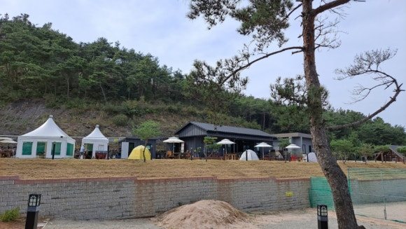 휴심채