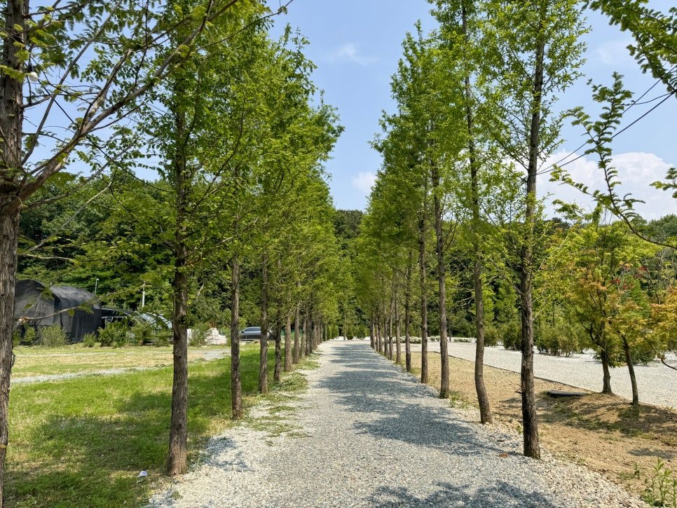 모나팜 캠핑장 사진