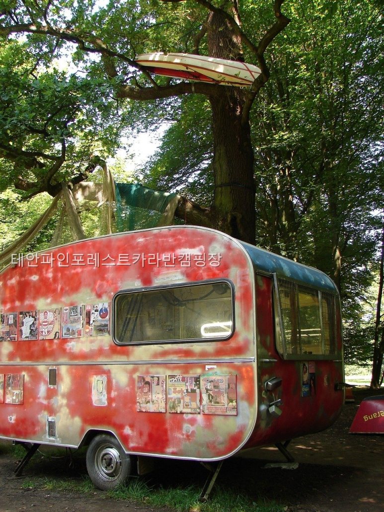 태안파인포레스트카라반캠핑장