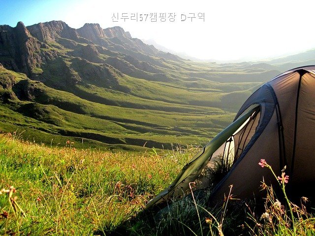 신두리57캠핑장 D구역