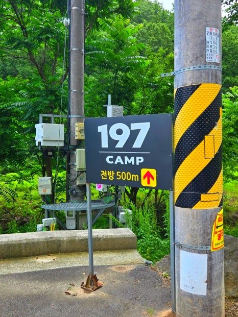 197캠프 사진