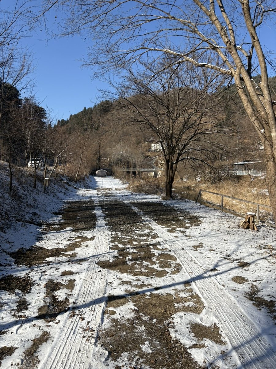 새와참새 수목정원 사진