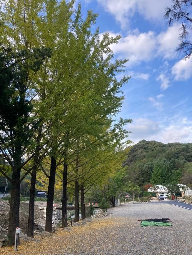 골든데이즈캠프