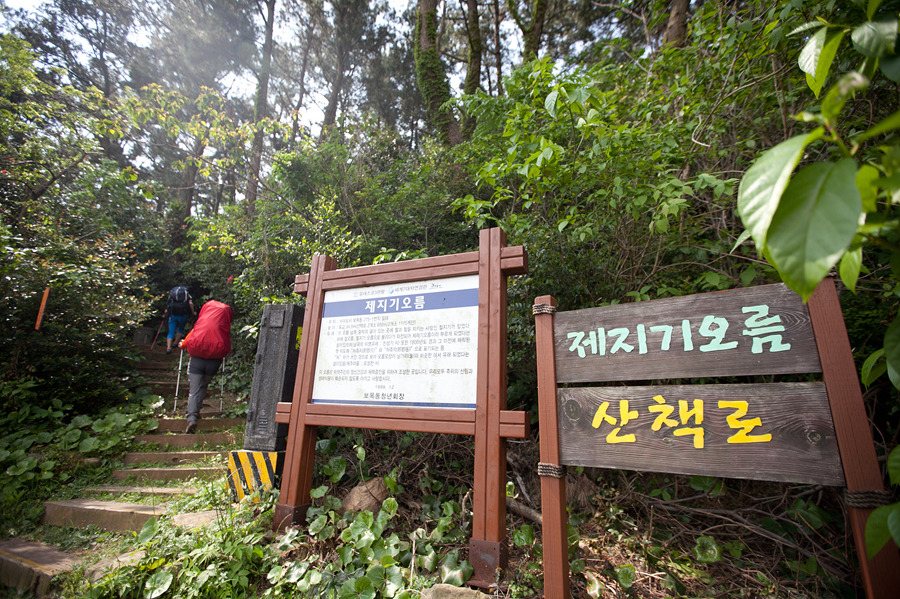 제주올레캠핑2