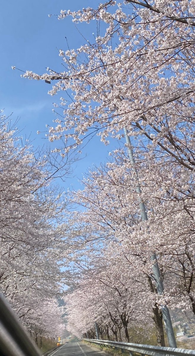 함안깜핑장