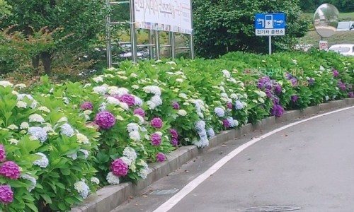 봉아름 캠핑장