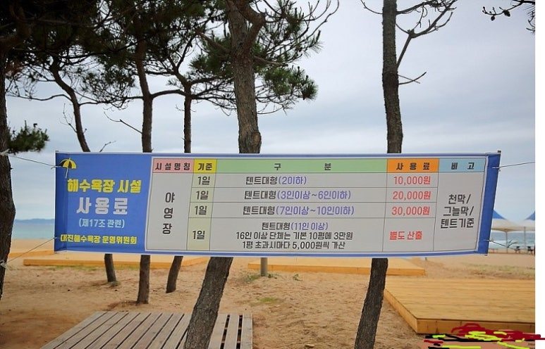 장사해수욕장 사진
