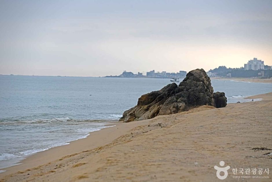 송전해수욕장야영장 사진