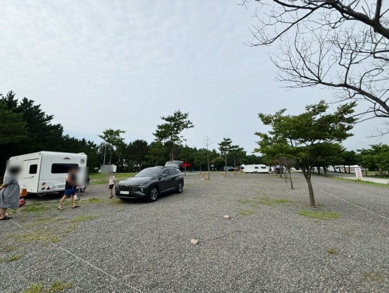 송전해수욕장 야영장 사진