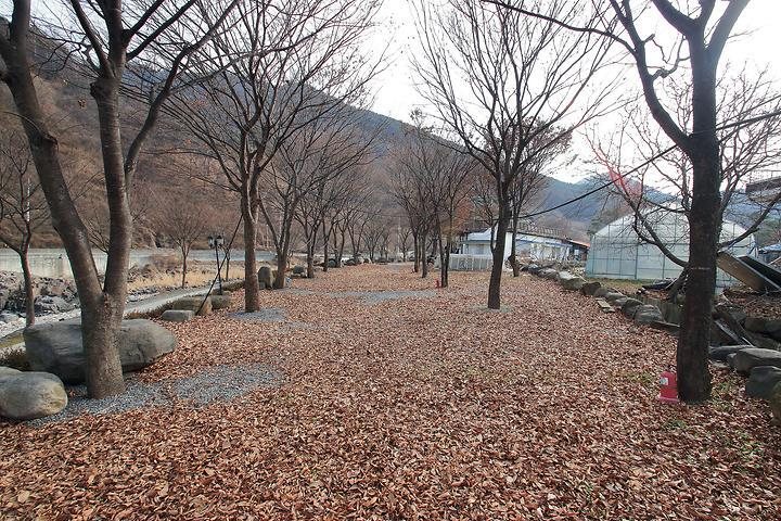 월악산오토캠핑장 사진