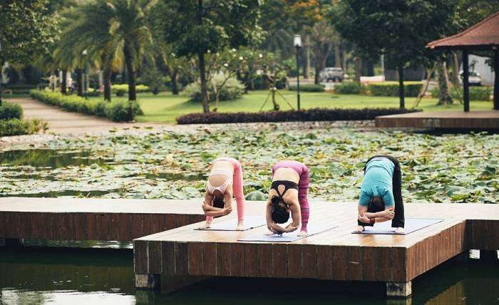 What to Expect from Yoga Teacher Training in Rishikesh at shiv holistic yoga school?