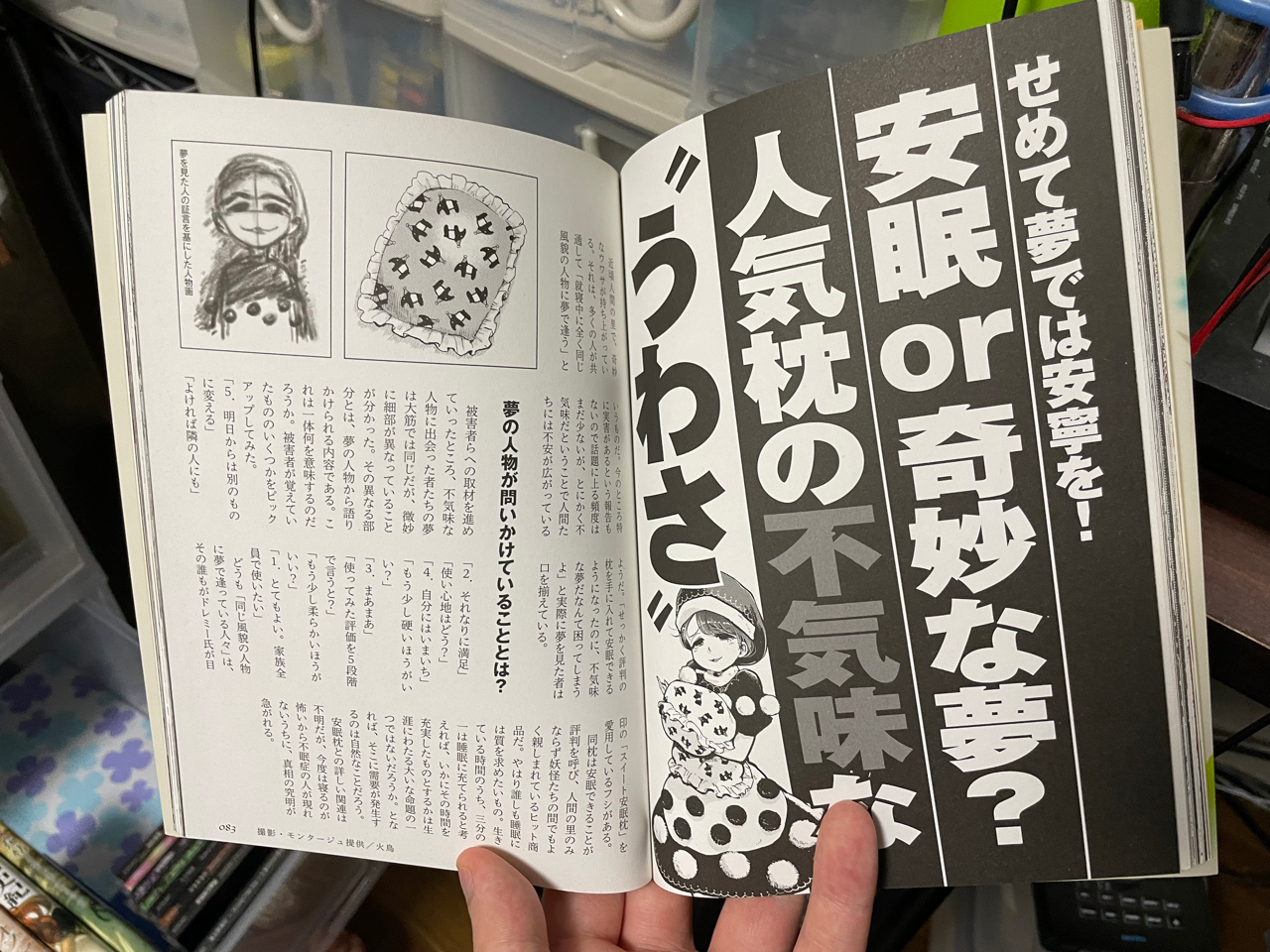 森の子リスのミーコの大冒険: 