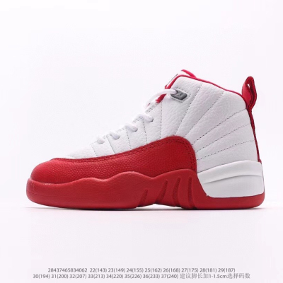 Air Jordan 12 Retro PS Profile Picture