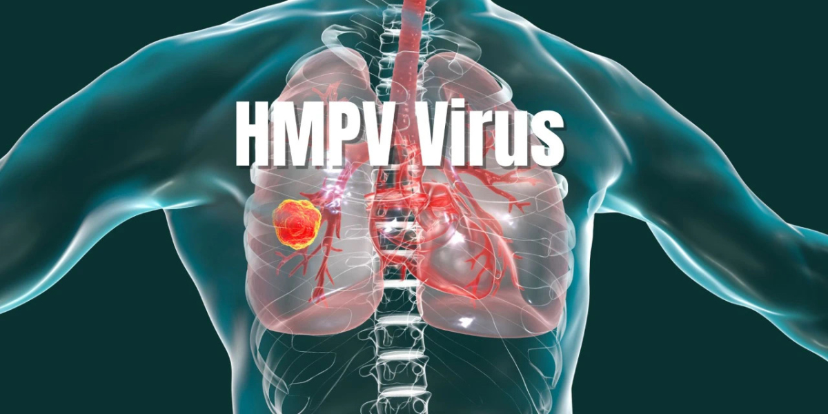 Human Metapneumovirus (HMPV): Symptoms & Treatment