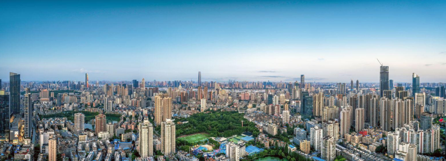 Wuhan Cover Image