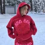 Spiders Hoodies