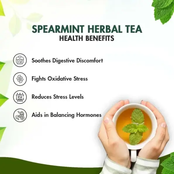 Speric Tea Sorich Organics Spearmint Herbal Tea 100gm | Spearmint Tea for PCOS ...