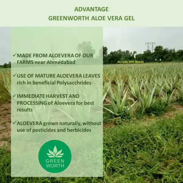 hydra aloe vera gel Buy Aloe Antiperspirant Gel by Gillette: 70ml  usbeautybazaar