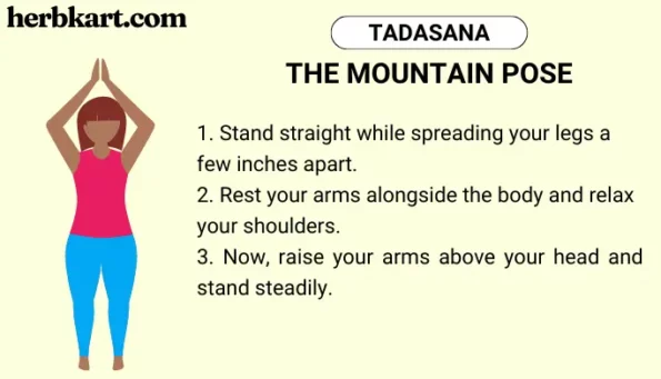 THE MOUNTAIN POSE (Tadasana)