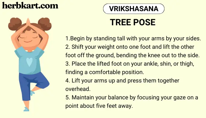 How to do Vrikshasana (Tree Pose)- Benefits, Precautions & Steps - The  Healer Yoga