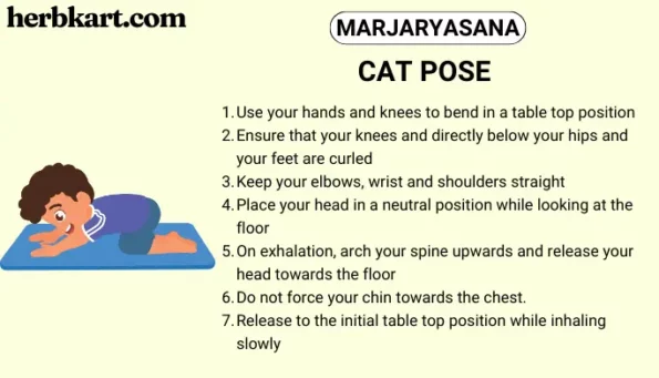 easy-to-do-yoga-poses-for-kids-cat-pose-marjaryasana