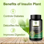 MahoganyInsulinPlantCapsules90-1.webp