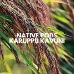 NativePodsKaruppuKavuni1Kg-1.webp