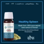 ODWD-Fennel-60ml-1.webp