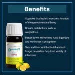 ODWD-Lemon_30ml-1.webp