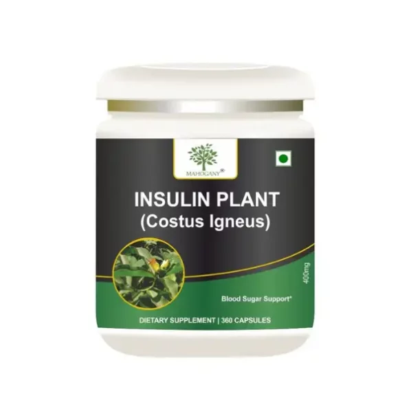 Mahogany Organics Insulin Plant (Costus Igneus) Capsules 500mg- A Diabetes Care Supplement- 360 Veg Caps available on Herbkart