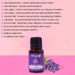 NV_lavender_essential_oil_10ml-1.webp