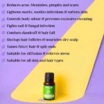 NV_teatree_essential_oil_10ml-1.webp