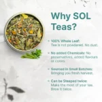 SolPPPT-100-1.webp