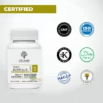 Lifeaveda-064-1.webp
