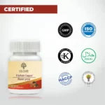 Lifeaveda-080-1.webp
