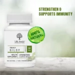 Lifeaveda-129-1.webp